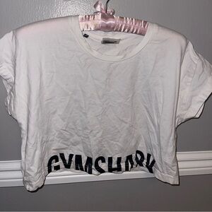 Gymshark fraction crop top